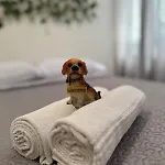 Suite Em Apartamento Compartilhado Em Meireles, Fortaleza